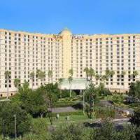 Room #5626910