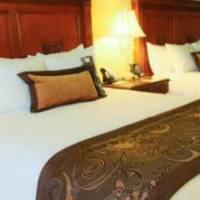 Room #5627318