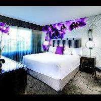 Room #25638318
