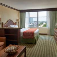 One-Bedroom Suite with City View