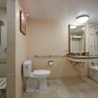 Ocean View with King Bed - Mobility Accessible Roll-in Shower