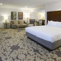 1 King Bed Studio Suite