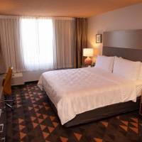 Executive King Room