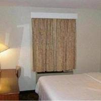 Room #5591322