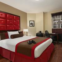 Newly Renovated Standard 1 Full