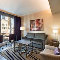 One-Bedroom Premier King Suite