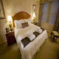 Room #24169923