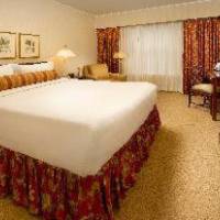 Room #27907924