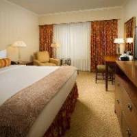 Room #27907927