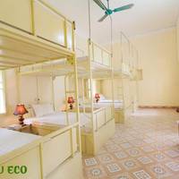 Bunk Bed in Mixed Dormitory Room