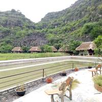 Family Bungalow