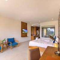 Premium Double or Twin Room with Balcony and Field view