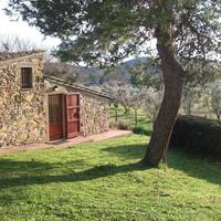 One-Bedroom Cottage