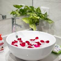 Deluxe Double or Twin Room with Spa Bath