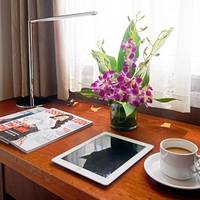 Room #133256987