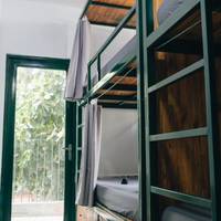 Bed in 4-Bed Dormitory Room