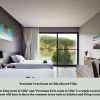 Premium Twin Room in Villa (Shared Villa)