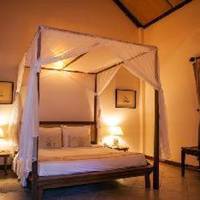 Room #29732825