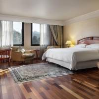 Deluxe King, Guest room, King