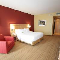 One-Bedroom King Suite