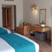 Accessible Room for Disabilities (Pool view)