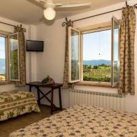 Basic Triple Room