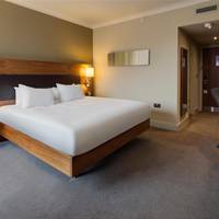 King Deluxe Room Park View