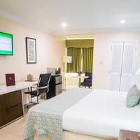 Junior Suite King