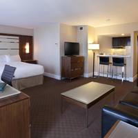 Junior Suite with King Bed and Sofa Bed 