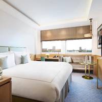 Room #3531693