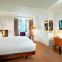 Deluxe King Guestroom