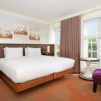 Deluxe King Guestroom with view