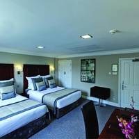 Room #3710426