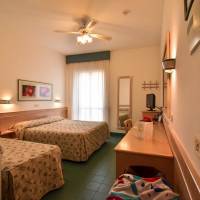 Double or Twin Room with Garden View