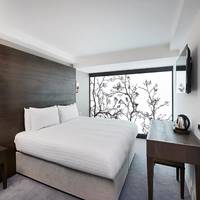 Superior Double Room without Window