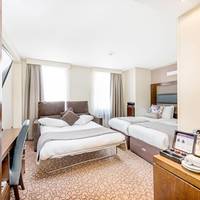 Executive King Room with Sofa Bed