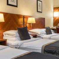 Room #11493922