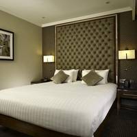 Junior King Suite