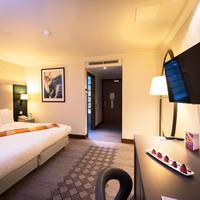 King Guest Room