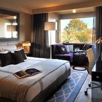 Premium King Room