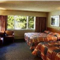 Room #24696210
