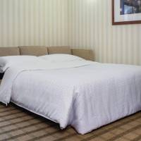 1 Bedroom Suite, 1 King, Sofa bed, High floor