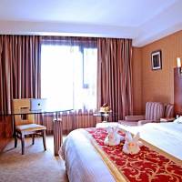 Mainland Chinese Citizen Only - Executive Room