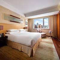 Superior Double Room with City View