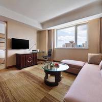 Deluxe Suite with City View