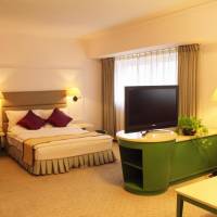 Mainland Chinese Citizen Only - Business Executive Double Room