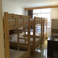 Bed in 6-Bed Mixed Dormitory Room