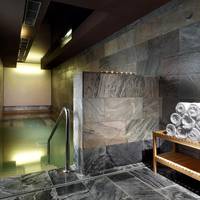 Double Room with Spa Access
