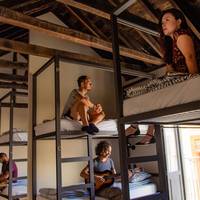 Bed in 8-Bed Mixed Dormitory Room