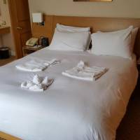Double Hilton Suite